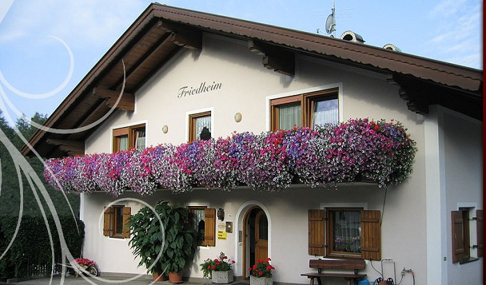 Haus Casa - Friedheim