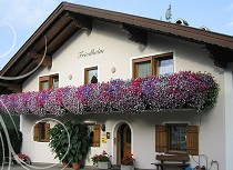 Haus Casa - Friedheim