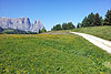 gallery_04